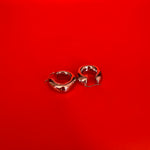 Afbeelding laden in gallerij, De Hailey Earrings