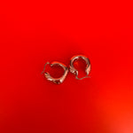 Afbeelding laden in gallerij, De Hailey Earrings