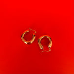 Afbeelding laden in gallerij, De Hailey Earrings