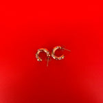 Afbeelding laden in gallerij, De Hope Earrings