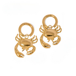 Afbeelding laden in gallerij, De Crab Earrings
