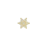 Afbeelding laden in gallerij, De Star Earring - Yellow
